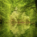 In the heart of nature